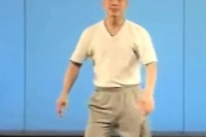 笑死家里惊现鬣蜥 儿子让字母爸去抓 字母让儿子去抓